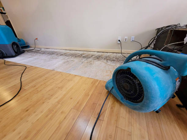 Professional Sewage Cleanup technician working in Hixson, TN